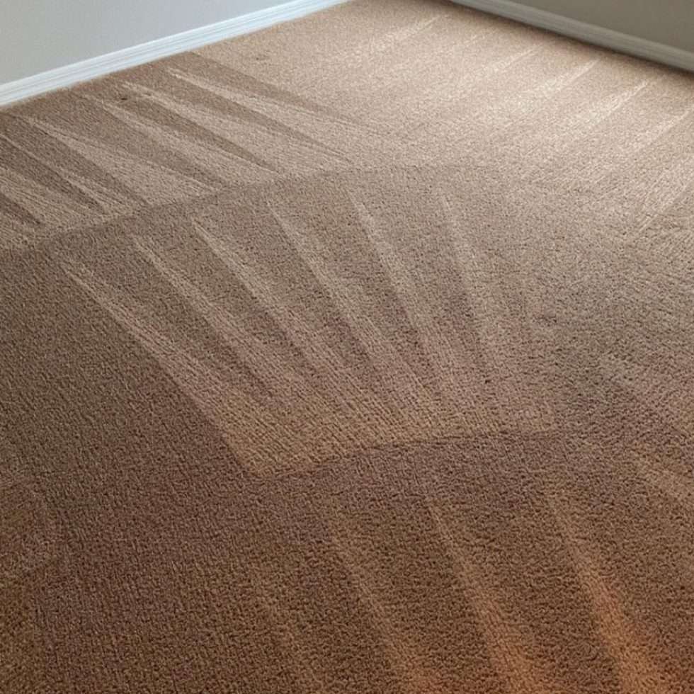 Sanford Carpet Cleaning Service 2M Carpet Cleaning