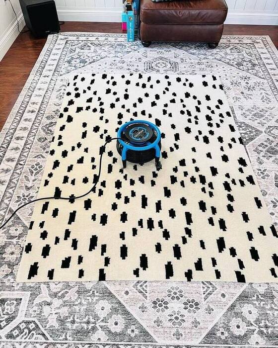 rug cleaning debary fl
