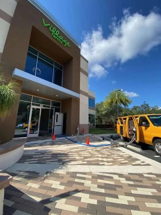 commercial carpet cleaning longwood