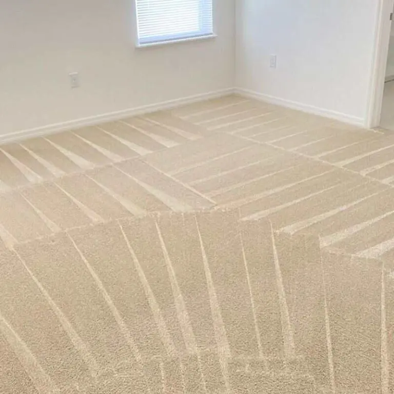 Everything You Need to Know About Carpet Protectant