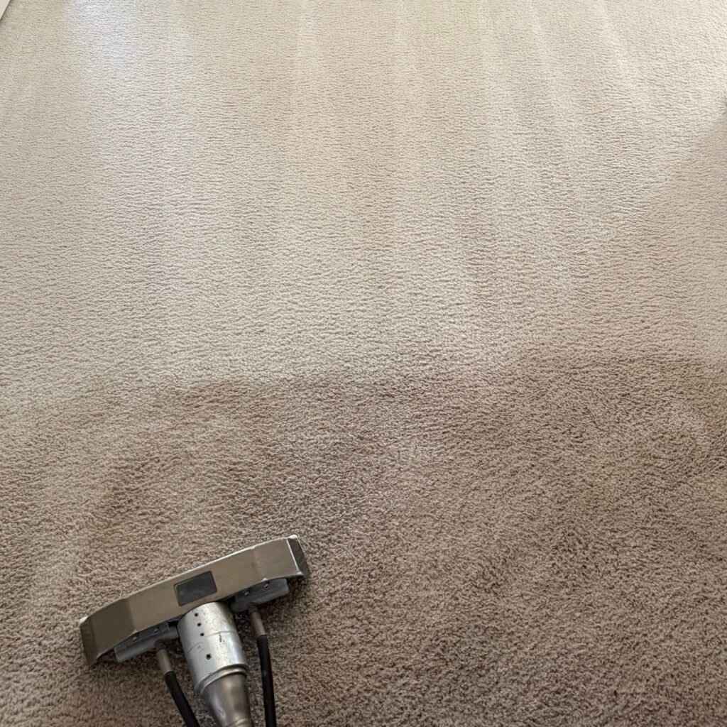 Professional carpet extraction in an empty room