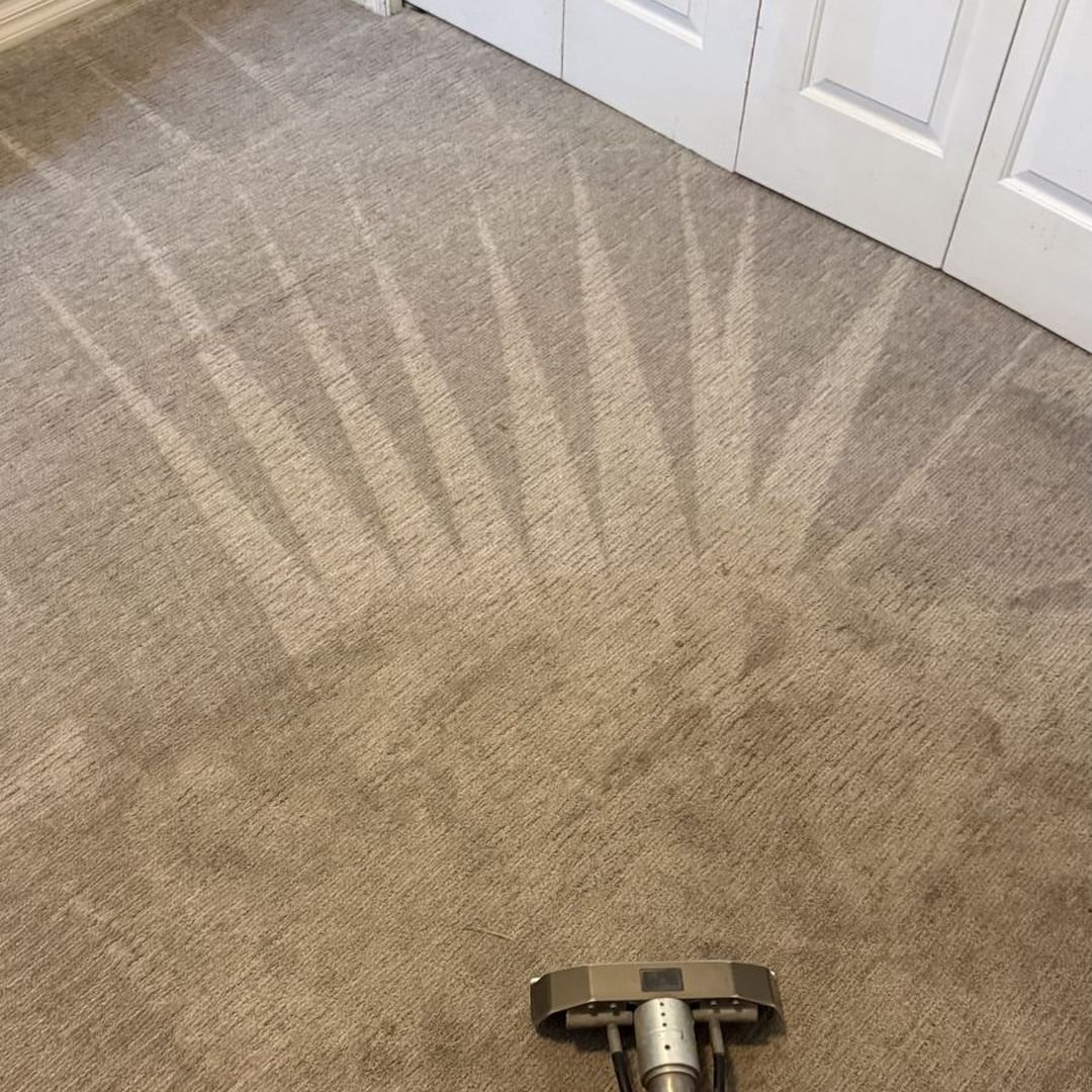Bedroom carpet cleaned by 2M Carpet Cleaning in Lake Mary, FL