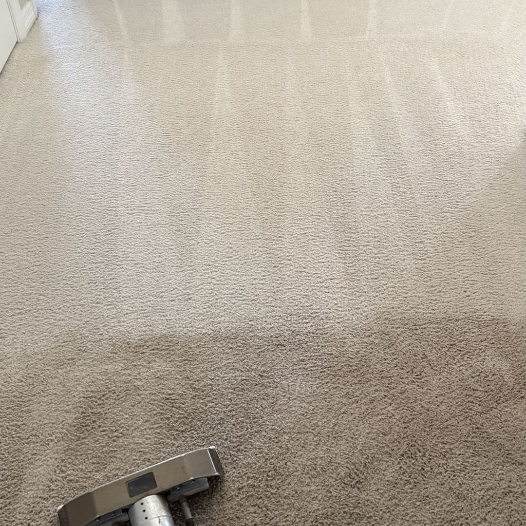 Before and after carpet cleaning in a Lake Mary home, clean line visible