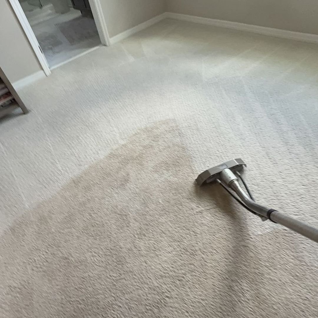 Carpet cleaning in progress in a Lake Mary, FL bedroom