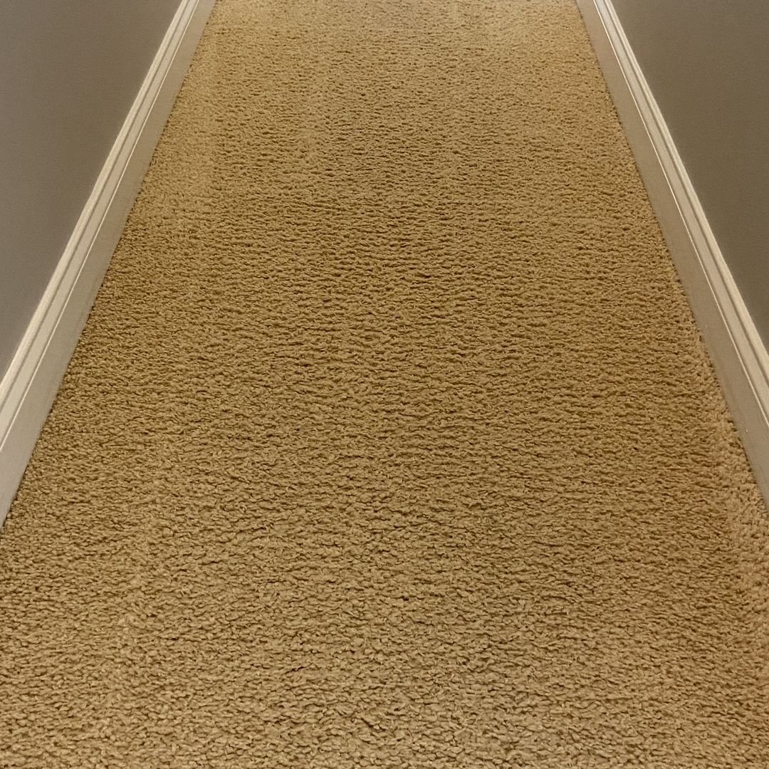 Hallway carpet cleaning in a Longwood, FL home